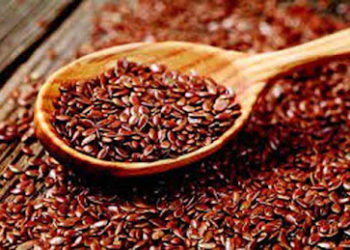 सिर से लेकर पैर तक की बीमारी में रामबाण है अलसी, फायदे सुनकर रह जाएंगे हैरान