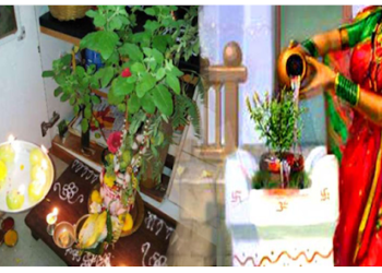 तुलसी के पत्ते तोड़ते समय रखें इन बातों का खास ध्यान