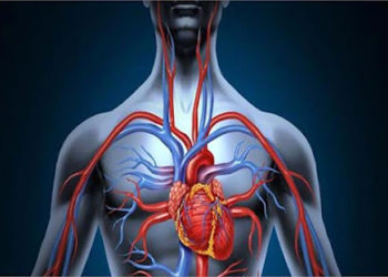 ब्लड फ्लो के स्लो होने के है कई कारण, ज्यादा देर तक बैठे रहने से भी बीमारियों का खतरा