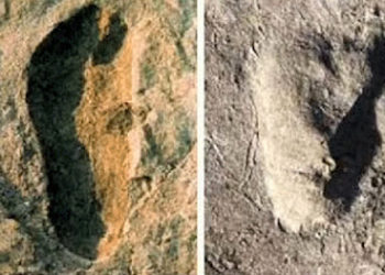 तंजानिया में इंसानों को करोडो साल पुराने पदचिन्ह मिले, करीब  3.7 करोड़ साल पुराने बताए जा रहे ये पदचिन्‍ह