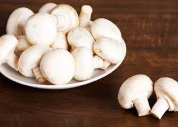 पोषण तत्वों से भरा है मशरूम, इन बीमारियों में होता है खास फायदेमंद