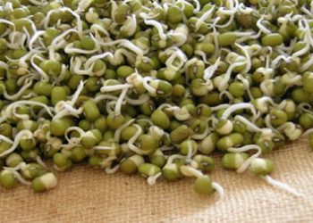 अंकुरित मूंग होती है पोषक तत्वों से भरपूर, खाने से होता है ये फायदा