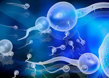 ओमिक्रॉन के शिकार पुरुषों को हो सकता है ये असर, नए अध्ययन में हुआ चौंकाने वाला खुलासा