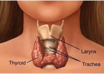 थायरॉइड रोग का इस तरह से करें इलाज