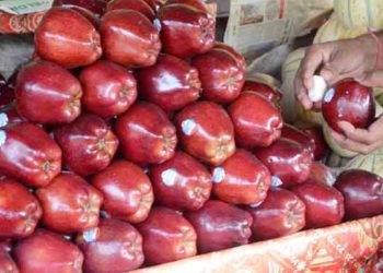 बाजार से चमकदार सेब खरीदने वाले हो जाएं सावधान