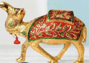 घर में रखे फेंग्शुई ऊंट, परेशानियों से मिलेगा तुरंत छुटकारा