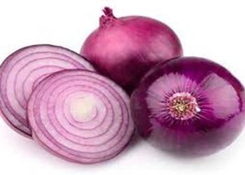 क्या प्याज के ये फायदे जानते हैं आप