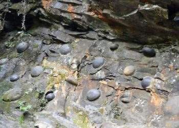 चीन की एक चट्टान देती है तीस साल में अंडे