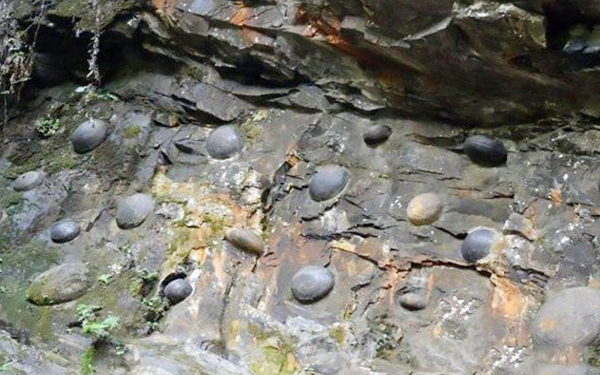 चीन की एक चट्टान देती है तीस साल में अंडे