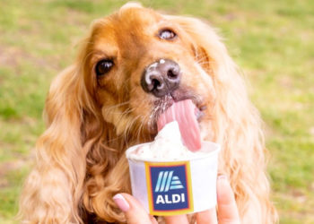 अब कुत्ते भी खाएंगे वनीला और एप्पल आइसक्रीम