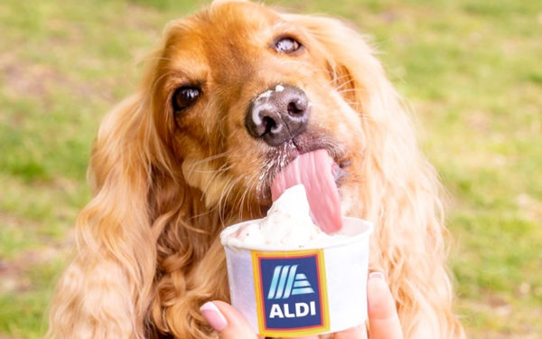 अब कुत्ते भी खाएंगे वनीला और एप्पल आइसक्रीम