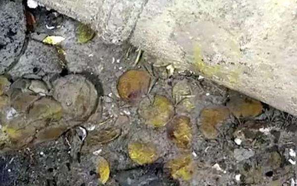 सैकड़ों साल पहले समुद्र में डूबे जहाज में मिला 17 बिलियन डालर का सोना