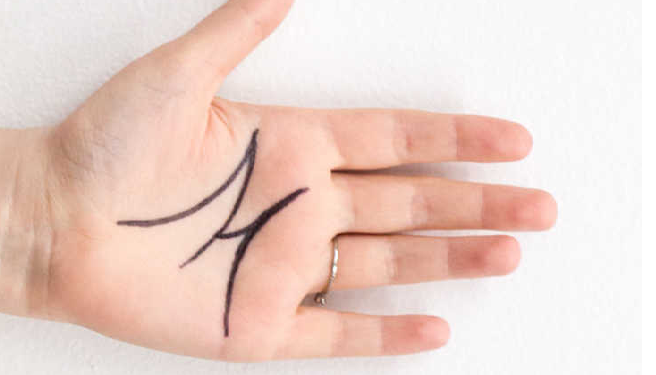 Palmistry: किस्मत के धनी लोगों की हथेली पर बनता है ये निशान, आप भी चेक करिए आपकी हथेली पर तो नहीं है ये निशान