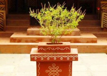 धन और वैभव बढ़ाते हैं पेड़, जानिए घर में लगाएं कौन से पौधे