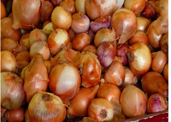 लंबे समय तक प्याज को रखना चाहते है फ्रेश, तो अपनाएं ये तरीकें