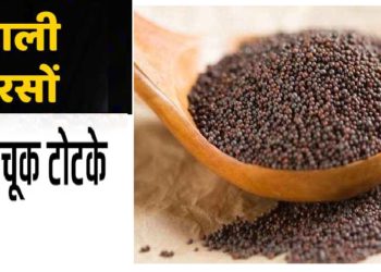 बुरी नजर से बचाती है काली सरसों, इन टोटकों से खुल जाएगी किस्मत