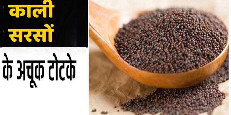 बुरी नजर से बचाती है काली सरसों, इन टोटकों से खुल जाएगी किस्मत