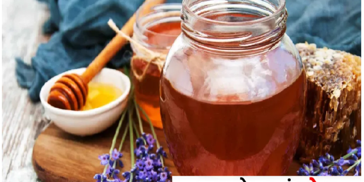 शहद में मिलाकर खाएं ये चीजें, तेजी से घटने लगेगा वजन