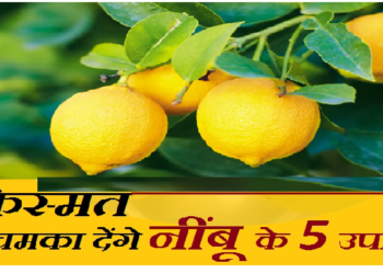 बड़ी परेशानियों को दूर कर सकता है नींबू, जानें इसके अचूक उपाय