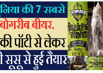 क्या आपने चखी है हाथी की पॉटी और इंसानी सूसू से तैयार बीयर