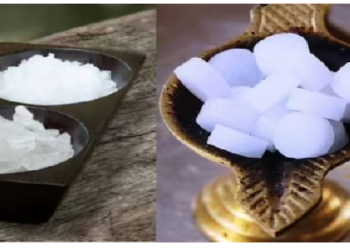 जानिए कैसे और किस चीज से बनता है पूजा में इस्तेमाल होने वाला कपूर?