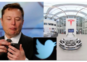 क्या मस्क को ट्विटर-टेस्ला से देना पड़ेगा इस्तीफा?, टाइम ट्रैवेलर की भविष्यवाणी