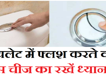 टॉयलेट में फ्लश करते वक्त इस चीज का रखें ध्यान? सच्चाई जानकर सोच में पड़ जाएंगे