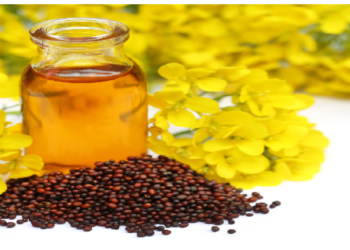 सरसों तेल के ये गजब के फायदे नहीं जानते होंगे आप