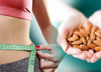 मोटापे के डर से बादाम से दूरी बनाने की जरुरत नहीं, नई रिसर्च से हुआ खुलासा