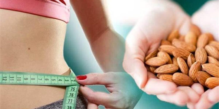 मोटापे के डर से बादाम से दूरी बनाने की जरुरत नहीं, नई रिसर्च से हुआ खुलासा