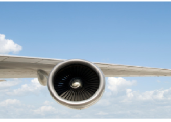 जानिए क्यों हवाई जहाज को उड़ाने से पहले इंजन में फेंके जाते हैं मुर्गे!