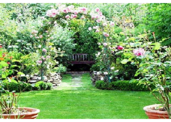 Vastu Tips: पेड़-पौधों का होता है ग्रहों से संबंध, घर में लगाने से पहले जरूर जान लें ये बातें