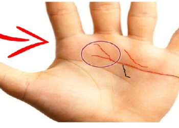 लकी लोगों के हाथ में होती है ‘विष्‍णु रेखा’, देखिए क्या आपकी हथेली में है?