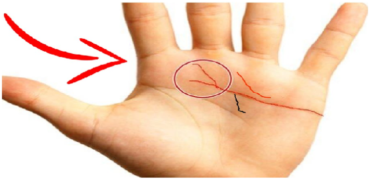 लकी लोगों के हाथ में होती है ‘विष्‍णु रेखा’, देखिए क्या आपकी हथेली में है?