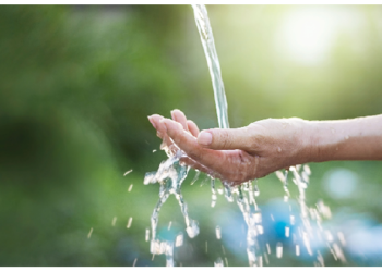 पानी क्यों गीला होता है? जीनियस ही दे सकते है इस सवाल का जवाब