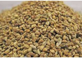 ठंड में होने वाली बीमारियों से बचाती है रसोई घर में रखी ये चीज