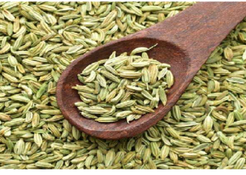 सौंफ के फायदे जानकर हो जाएंगे हैरान, पास नहीं फटकती ये बीमारियां
