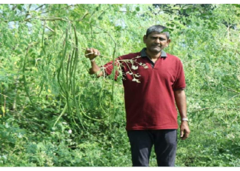 यूट्यूब के जरिये सीखी दूध की वैकल्पिक खेती की तकनीक, अब तक 6 लाख तक का लिया मुनाफा