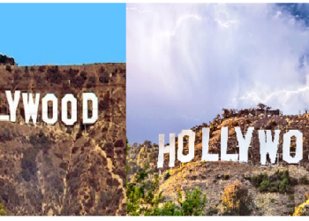 बॉलीवुड हो या हॉलीवुड या हो टॉलीवुड…इसमें क्या है ‘वुड’ का मतलब?