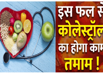 अगर कोलेस्ट्रॉल की दिक्कत से जूझ रहे हैं तो अब टेंशन लेने की जरूरत नहीं, रोज सुबह उठकर खा लें यह फल