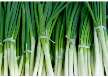 कई गुणों से भरपूर होती है हरे प्‍याज की सब्‍जी, कैंसर समेत इन बीमारियों से होगा बचाव