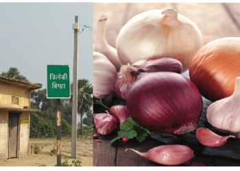 45 सालों से इस गांव में किसी ने नहीं चखा लहसुन-प्याज का स्वाद, जानिए क्यों खाते हैं खौफ!