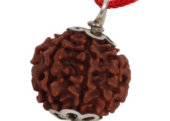 रुद्राक्ष और उनके महत्व, ये हैं रुद्राक्ष धारण करने के नियम