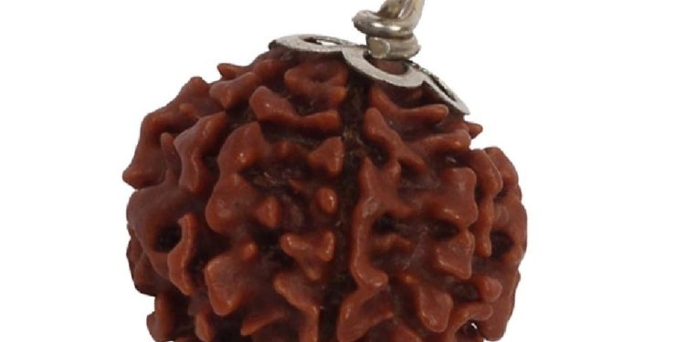 रुद्राक्ष और उनके महत्व, ये हैं रुद्राक्ष धारण करने के नियम