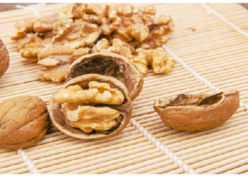 ये खबर पड़ने के बाद कभी नहीं फेकेंगे अखरोट के छिलके, ऐसे करें इस्तेमाल, शरीर को मिलेंगे कई फायदे