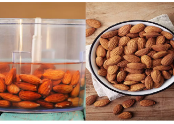 किस बादाम को खाने से मिलेगी ज्यादा ताकत, सूखा और भीगा बादाम को लेकर कंफ्यूज को करें दूर