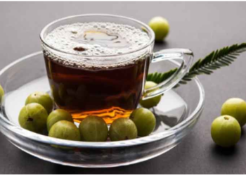 आंवले की चाय पीने से कंट्रोल में रहता है हाईबीपी, ऐसे करें तैयार