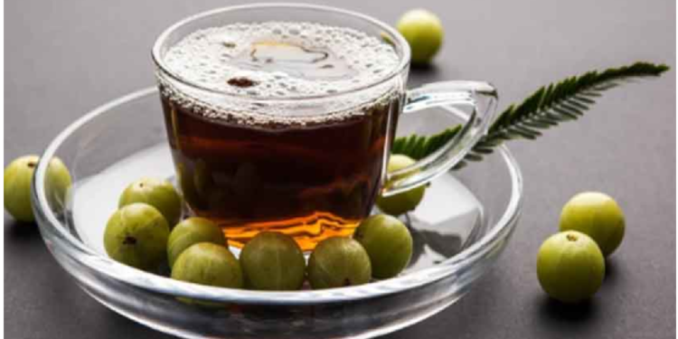 आंवले की चाय पीने से कंट्रोल में रहता है हाईबीपी, ऐसे करें तैयार