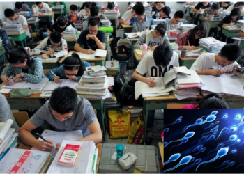 चीनी विश्वविद्यालयों में पढ़ने वाले छात्रों के लिए पैसे कमाने का जरिया बना स्पर्म डोनेशन