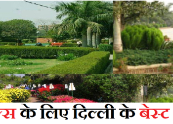 दिल्ली में पार्टनर के साथ वक्त बिताने के लिए ये हैं खास पार्क